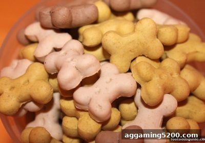新手存款优惠如何结合外围足球赔率实现收益最大化？新利体育为你解析